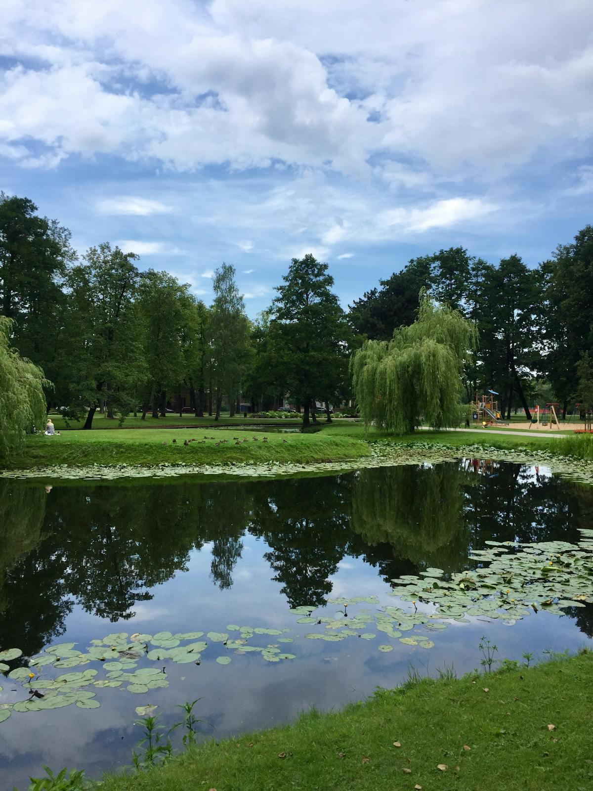 Dallas Texas city travel guide for ENHYPEN concert